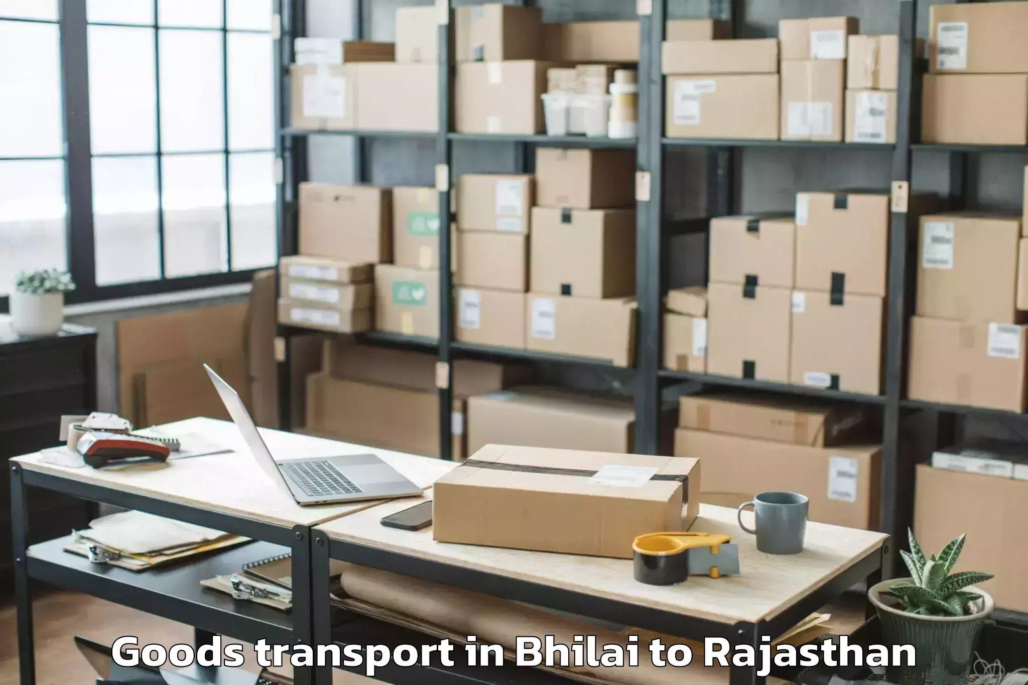 Reliable Bhilai to Alwar Goods Transport